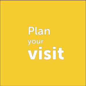 plan-your-visit